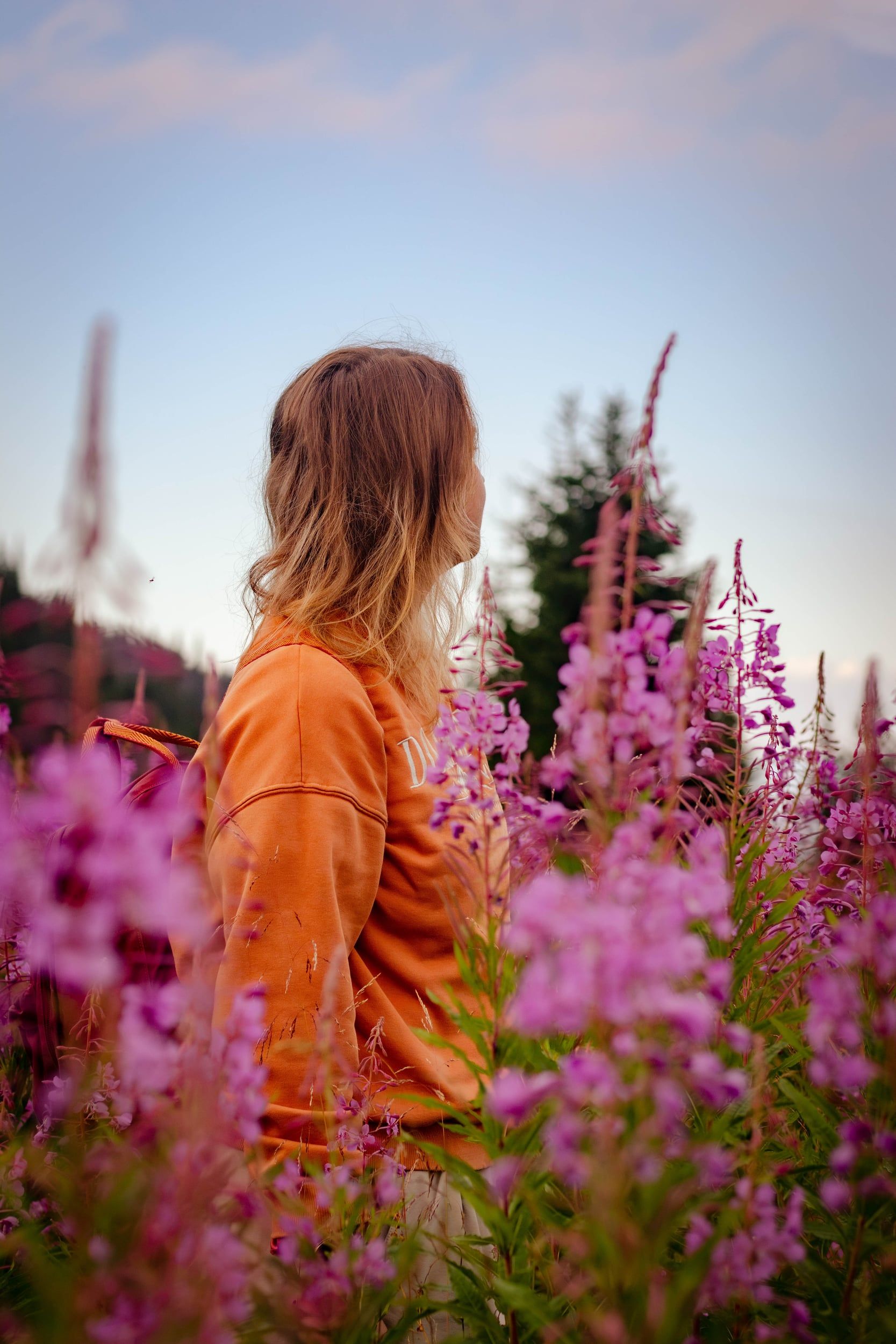 Woman seen from behind in a field of fireweed