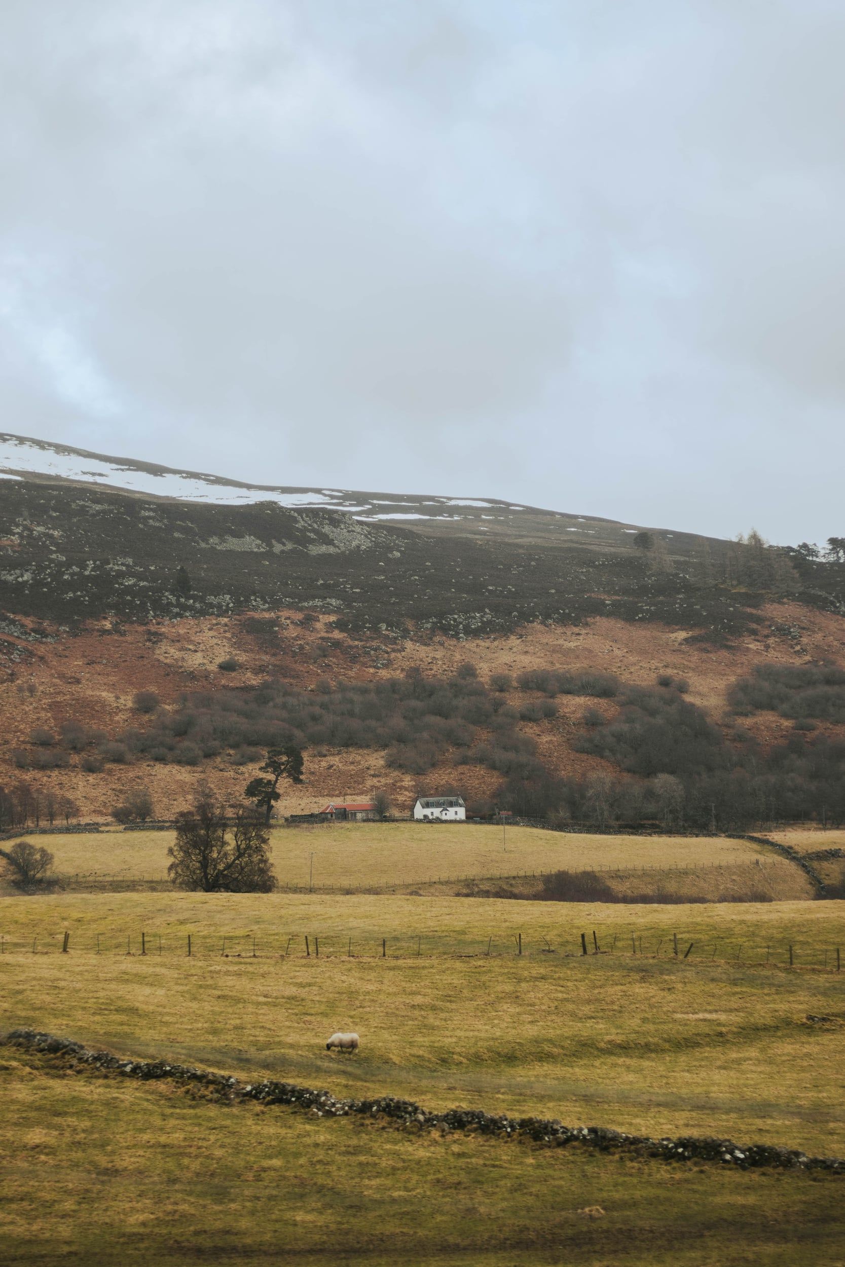 Fields and a white farmhouse beneath snow-dusted hills